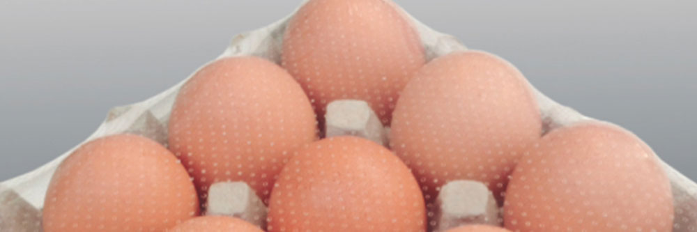 banner_microperfurados